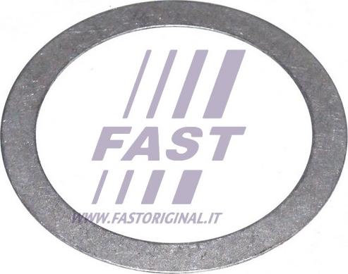 Fast FT62442 - Подкладная пластина, фланец приводного вала autodnr.net