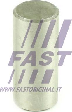 Fast FT62472 - Осьова шестерня, зрівняні.  коніч.  зубч.  колесо - диференціал autocars.com.ua