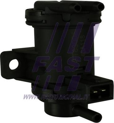 Fast FT63004 - Клапан, фільтр активованого вугілля autocars.com.ua