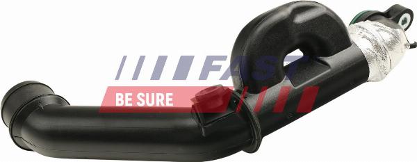 Fast FT65601 - Шланг, система подачі повітря autocars.com.ua