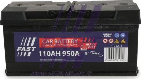 Fast FT75213 - Стартерна акумуляторна батарея, АКБ autocars.com.ua
