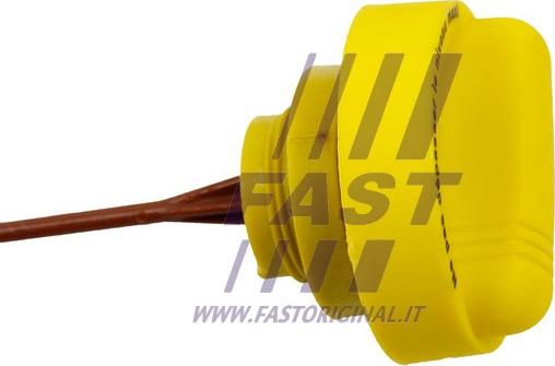 Fast FT80309 - Покажчик рівня масла autocars.com.ua