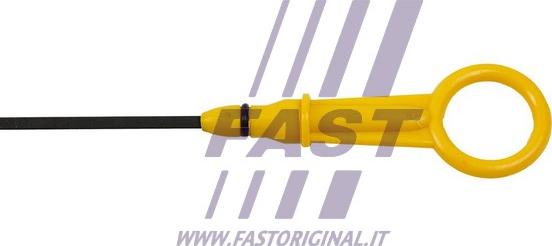 Fast FT80311 - ДВИГАТЕЛЬ autodnr.net