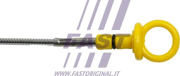 Fast FT80331 - Покажчик рівня масла autocars.com.ua