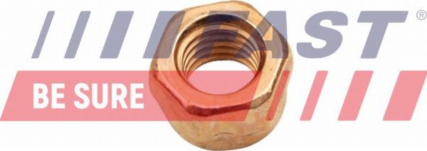 Fast FT84702 - Гайка, випускний колектор autocars.com.ua