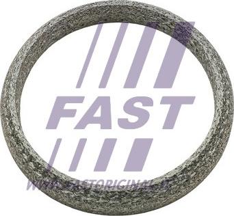 Fast FT84818 - Прокладка, труба вихлопного газу autocars.com.ua