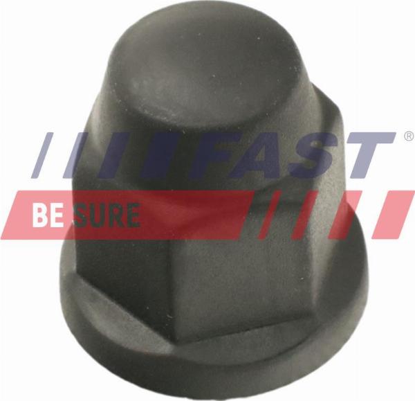 Fast FT90601 - Ковпачок, гайка кріплення колеса autocars.com.ua