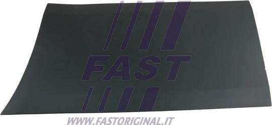 Fast FT90919 - Облицювання / захисна накладка, двері autocars.com.ua