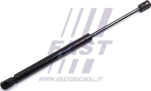 Fast FT94045 - Газовая пружина, упор avtokuzovplus.com.ua