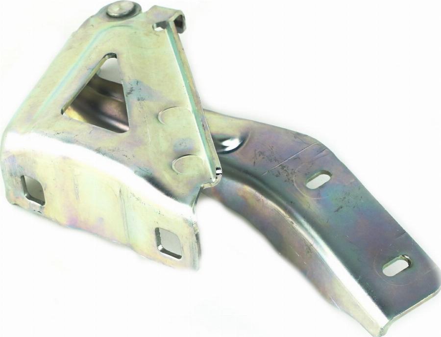 Fast FT94096 - Шарнір, капот autocars.com.ua