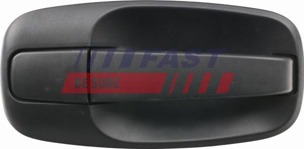 Fast FT94306 - Ручка двері autocars.com.ua