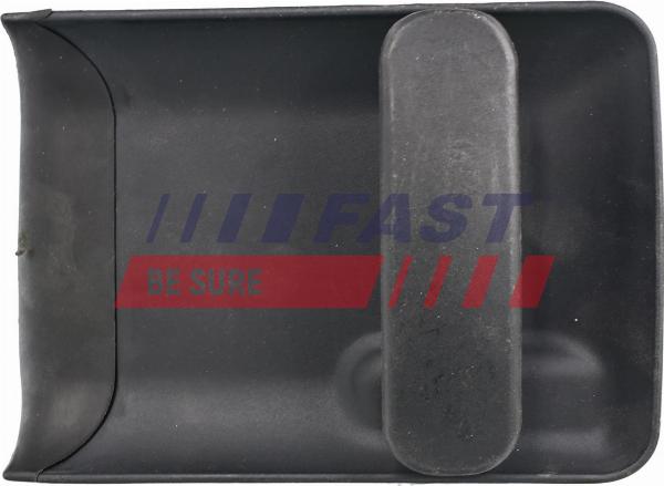 Fast FT94309 - Ручка двері autocars.com.ua