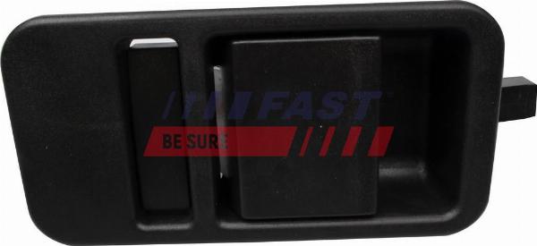 Fast FT94530 - Ручка двері autocars.com.ua