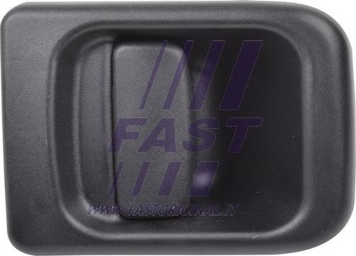 Fast FT94548 - Ручка двері autocars.com.ua