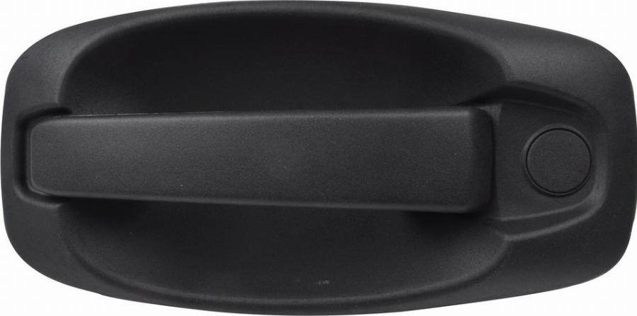 Fast FT94554 - Ручка двері autocars.com.ua