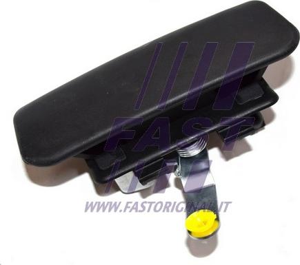 Fast FT94565 - Ручка двері autocars.com.ua