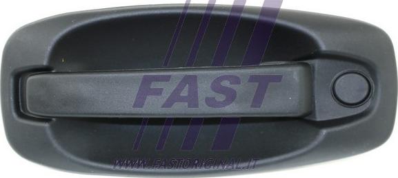 Fast FT94576 - Ручка двери avtokuzovplus.com.ua