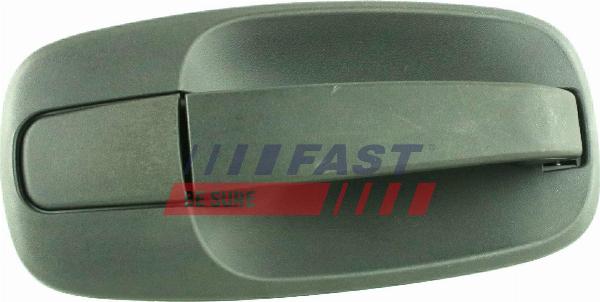 Fast FT94577 - Ручка двері autocars.com.ua