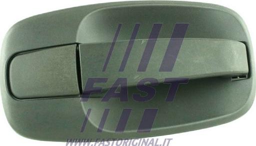 Fast FT94577 - Ручка двері autocars.com.ua