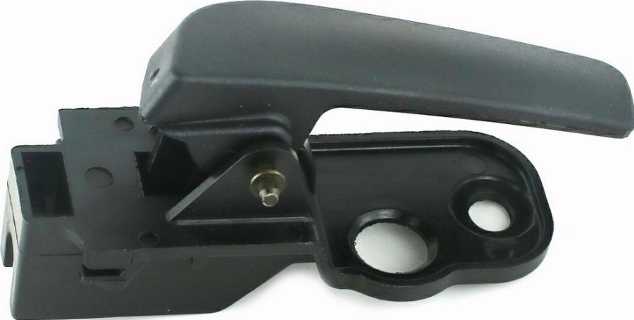 Fast FT94580 - Ручка двері autocars.com.ua