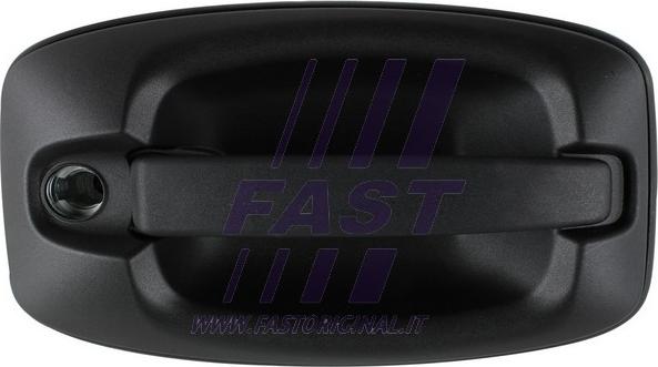 Fast FT94583 - Ручка двері autocars.com.ua