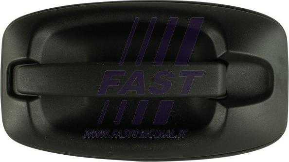 Fast FT94584 - Ручка двері autocars.com.ua