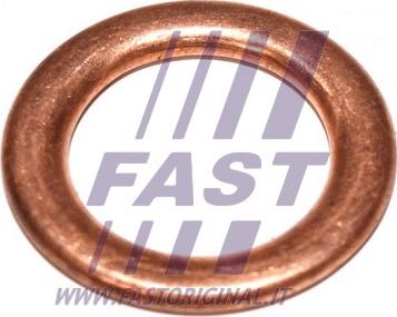 Fast FT94715 - Прокладка, маслоналивная горловина autodnr.net
