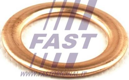 Fast FT94721 - Прокладка, маслоналивная горловина autodnr.net