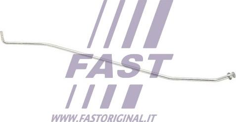Fast FT95902 - Кріпильний елемент, кожух двигуна autocars.com.ua