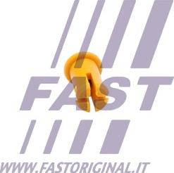 Fast FT96021 - Фиксатор двери avtokuzovplus.com.ua