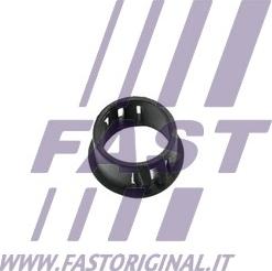 Fast FT96050 - Фиксатор двери avtokuzovplus.com.ua