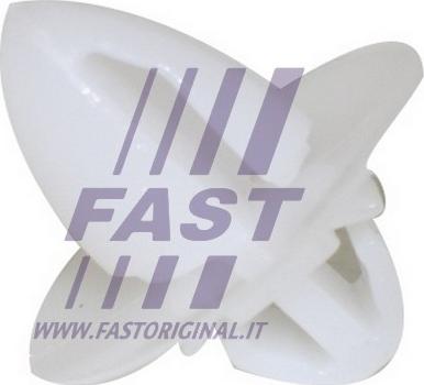 Fast FT96301 - Зажим, молдинг / защитная накладка avtokuzovplus.com.ua
