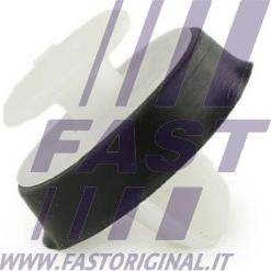 Fast FT96309 - Зажим, молдинг / защитная накладка autodnr.net
