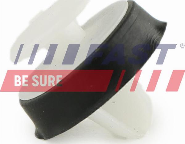 Fast FT96309 - Зажим, молдинг / захисна накладка autocars.com.ua