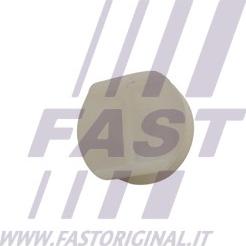 Fast FT96601 - Зажим, молдинг / захисна накладка autocars.com.ua