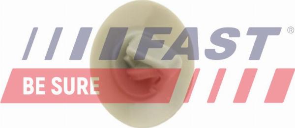 Fast FT96608 - Зажим, молдинг / захисна накладка autocars.com.ua