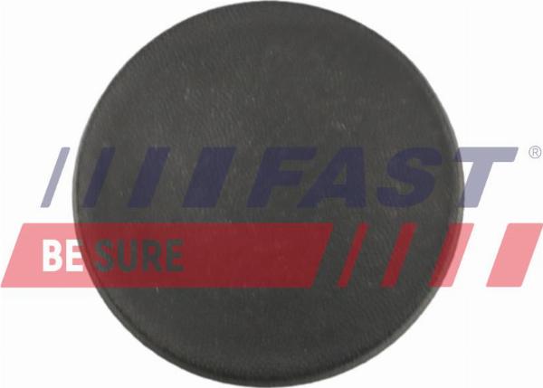 Fast FT96904 - Обшивка двері autocars.com.ua