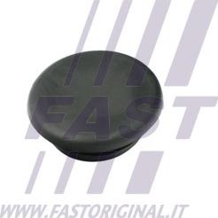 Fast FT97401 - Кришка, ручка дверей autocars.com.ua