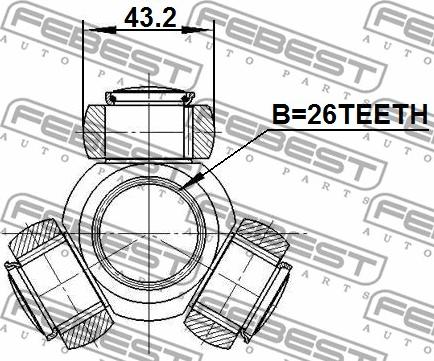 Febest 0116-ACV40 - Муфта з шипами, приводний вал autocars.com.ua