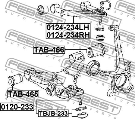 Febest 0124-234RH - Важіль незалежної підвіски колеса autocars.com.ua