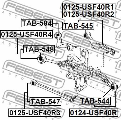 Febest TAB-545 - Сайлентблок, рычаг подвески колеса avtokuzovplus.com.ua