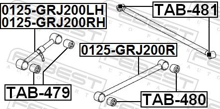 Febest 0125-GRJ200RH - Важіль незалежної підвіски колеса autocars.com.ua