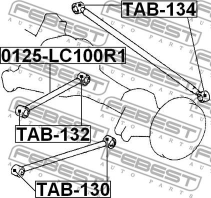 Febest TAB-130 - Сайлентблок, важеля підвіски колеса autocars.com.ua