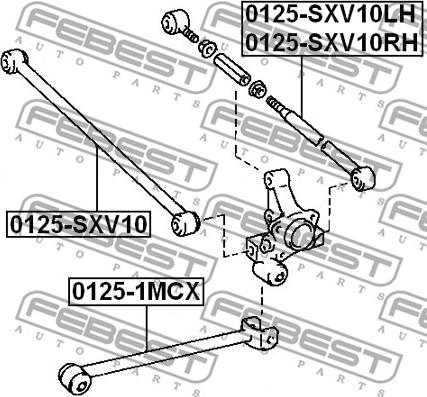 Febest 0125-SXV10RH - Важіль незалежної підвіски колеса autocars.com.ua