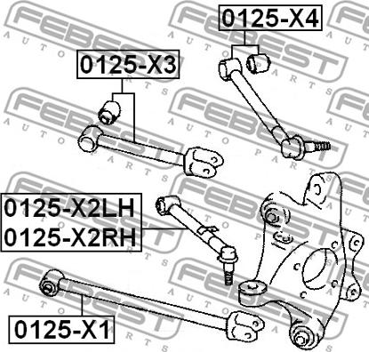 Febest 0125-X2RH - Рычаг подвески колеса autodnr.net