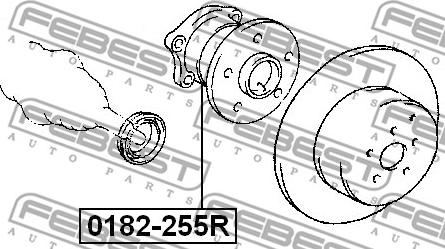 Febest 0182-255R - Маточина колеса autocars.com.ua