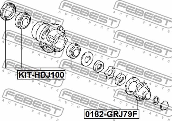 Febest 0182F-GRJ79F - Маточина колеса autocars.com.ua