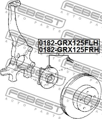 Febest 0182-GRX125FLH - Ступица колеса, поворотный кулак avtokuzovplus.com.ua