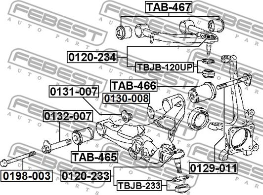 Febest 0198-003 - Болт кріплення, важіль autocars.com.ua