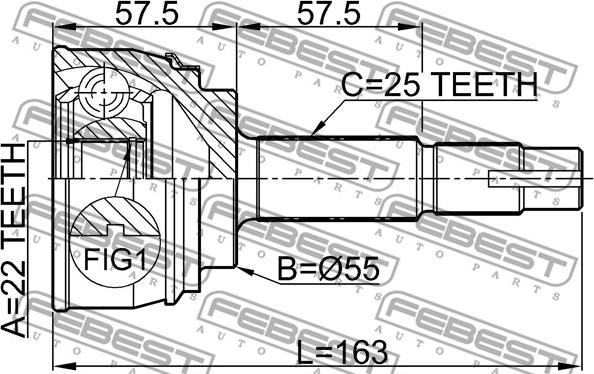 Febest 0210-060 - ШРУС autocars.com.ua